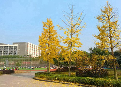 南平臨床醫(yī)學學校有哪些