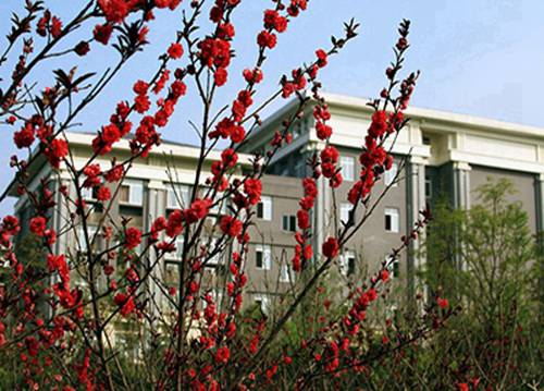 樂平職業(yè)中等專業(yè)學校2025年招生要求有哪些